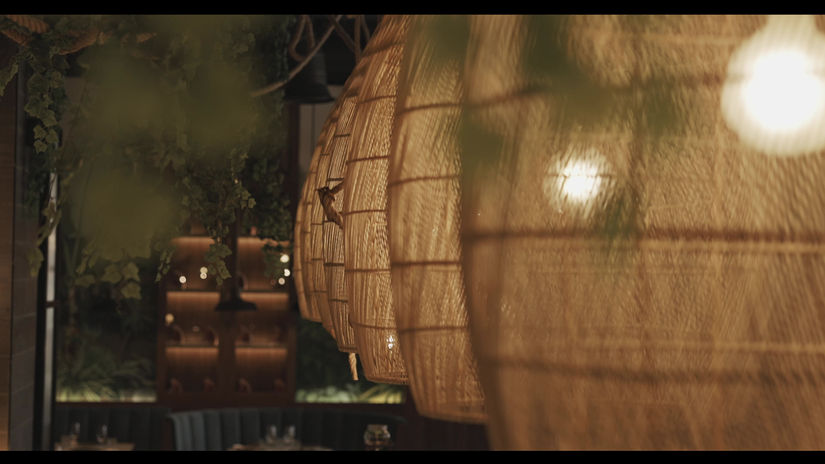 Hyatt Ziva Blind Butcher